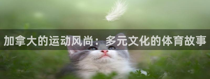 球王会体育