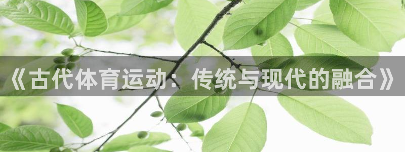 球王会体育