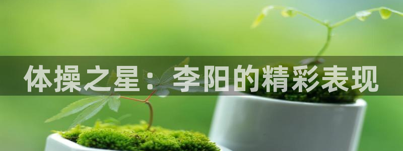 球王会体育