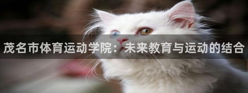 球王会体育