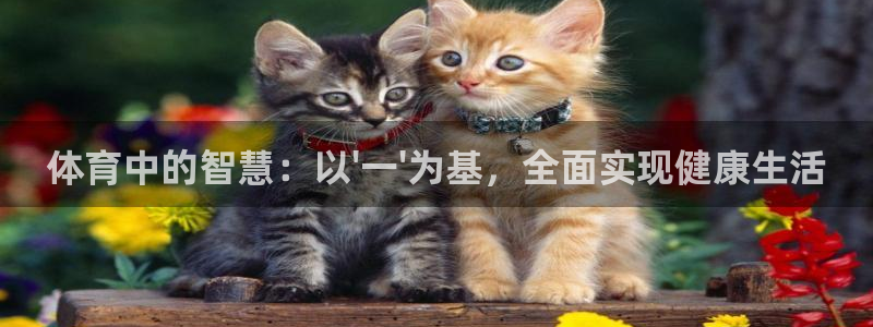球王会体育