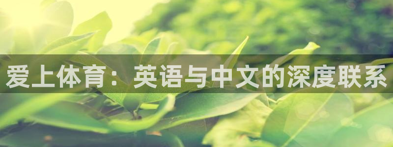 球王会体育