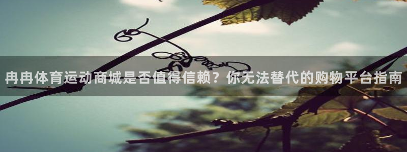 球王会体育