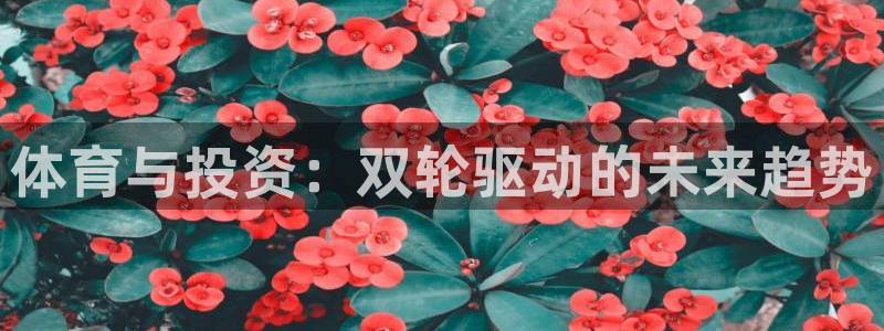 球王会体育
