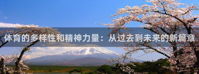 球王会体育