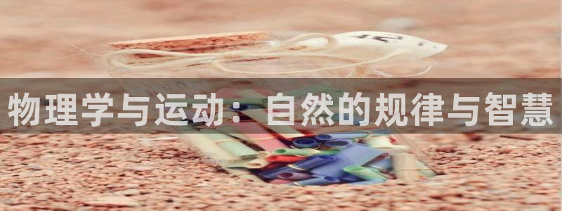 球王会体育