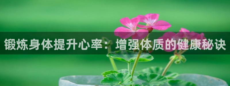 球王会体育