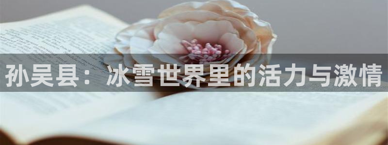 球王会体育