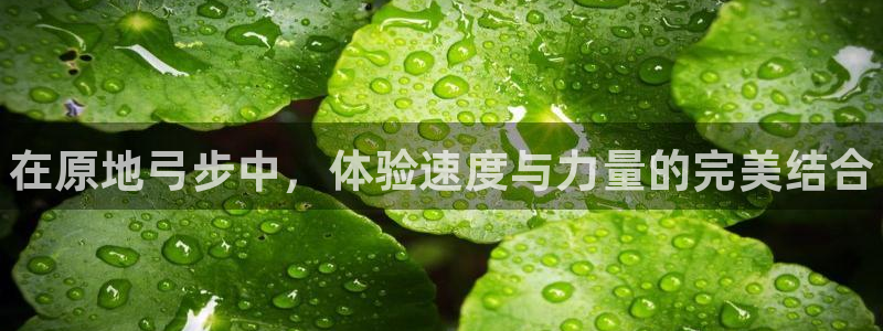 球王会体育