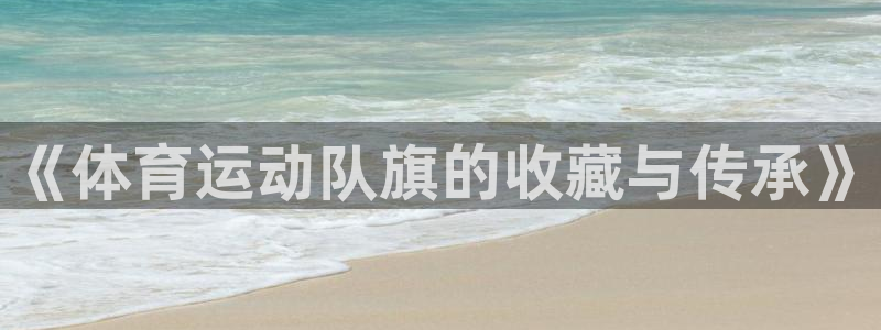 球王会体育