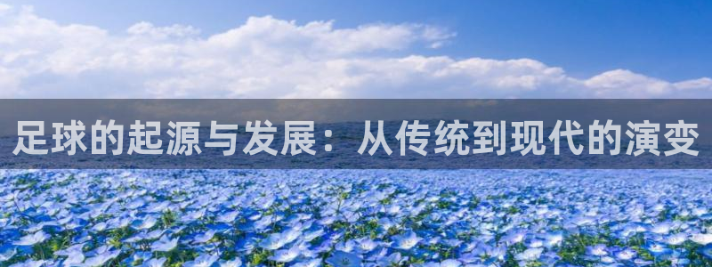 球王会体育