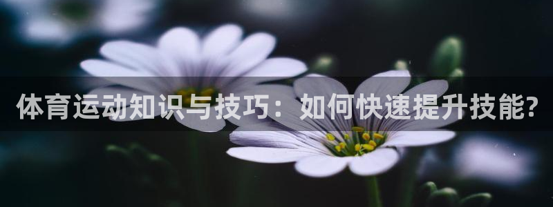 球王会体育