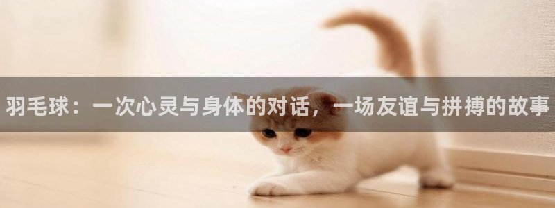 球王会体育