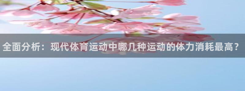 球王会体育