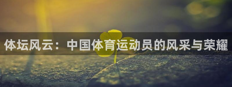 球王会体育