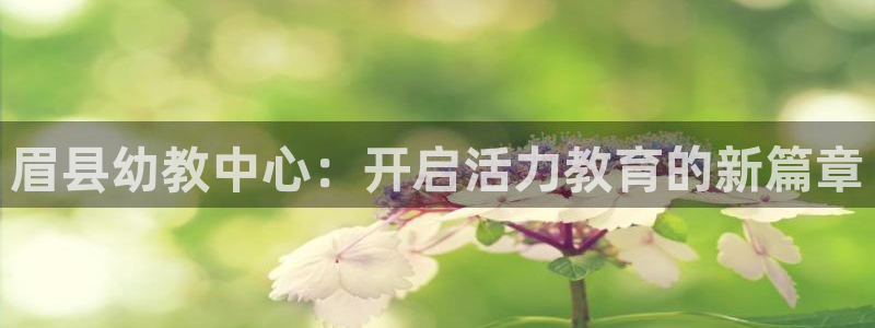 球王会体育