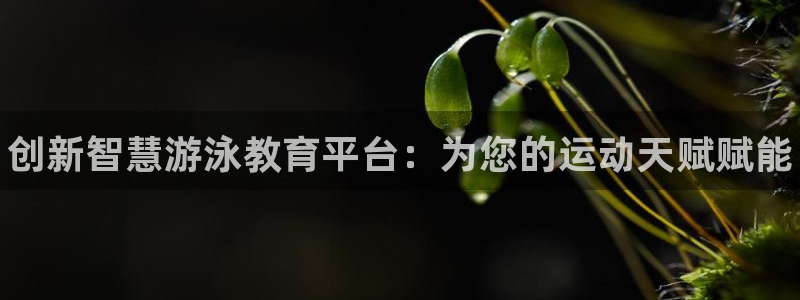 球王会体育