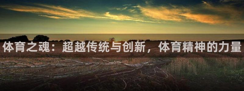 球王会体育