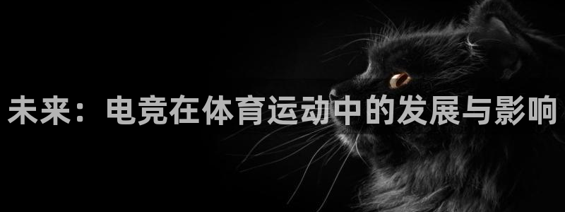 球王会体育