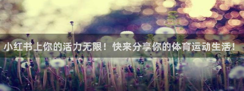 球王会体育