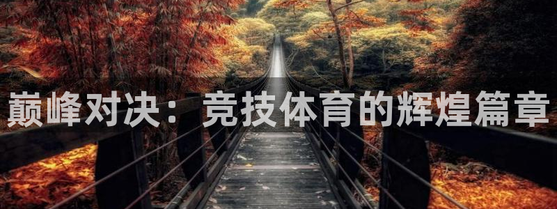 球王会体育
