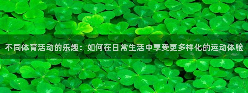 球王会体育