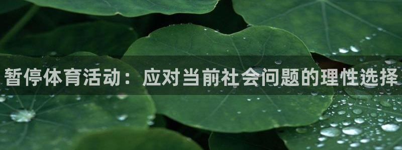 球王会体育