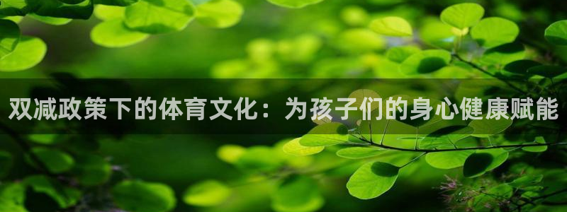 球王会体育