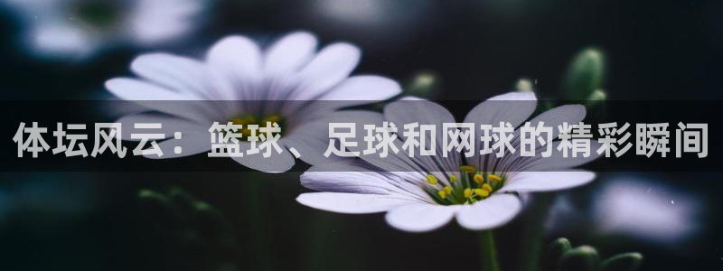 球王会体育