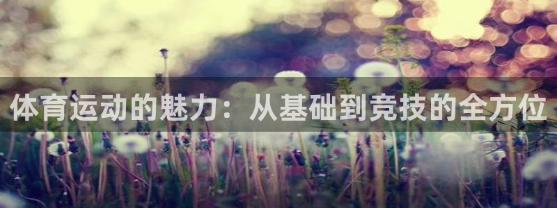 球王会体育
