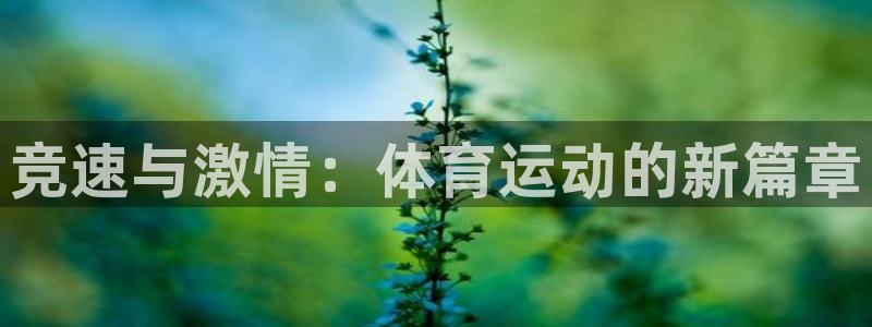 球王会体育